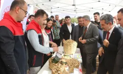 Hedef 25 Bin Ton Yer Fıstığı Üretimi