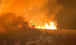 Kuş Cennetinde Yangın Meydana Geldi