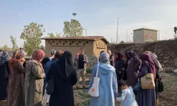 Kadınlar Doğada Tıbbi ve Aromatik Bitkileri Öğreniyor