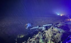 Çekici Şarampole Devrildi: Sürücü Hayatını Kaybetti