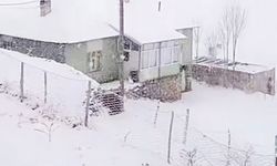 Başkale’de Kar Yağışı Etkili Oldu