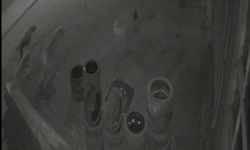 Muş’ta köpeklerden kaçan tavuk oto lastikçiye sığındı