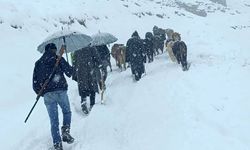 Yaylada mahsur kalan hayvan sürüsü 2 saatlik mücadeleyle kurtarıldı