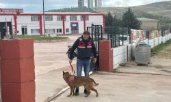 Okul Çevrelerinde Güvenlik ve Trafik Denetimleri Sıklaştırıldı