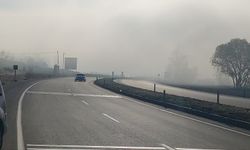 Bingöl’de sis etkili oldu