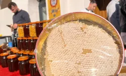 Siirt’te Arıcılara 41,4 Milyon Liralık Destek: 16 Bin Kovan Dağıtıldı