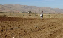 Çiftçiler Kışlık Ekim Mesaisine Başladı