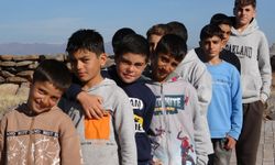 Van Gölü’nün ‘sarı saçlı çocukları’ kışın eski hallerine döndü