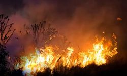 Nehil Sazlığı Alevlere Teslim Oldu