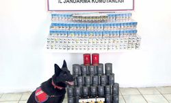Van’da jandarmadan kaçakçılık operasyonu: Sigara ve çay ele geçirildi