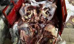 Batman’da Kaçak Et Operasyonu: İş Yeri Mühürlendi