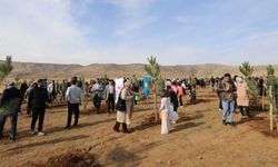 Bitlis Eren Üniversitesi’nden Geleceğe Nefes: Fidanlar Toprakla Buluştu