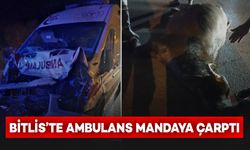 Bitlis’te hasta taşıyan ambulans mandaya çarptı