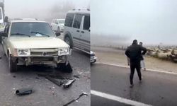 Seyir halindeki araç sürüye çarptı: 3 koyun telef oldu