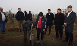 Güroymak'ta Ağaç Dikme Etkinliği