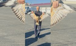 Yaralı Baykuş Karayolları Ekiplerinin Duyarlılığıyla Kurtarıldı