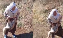 Batman'ın Cesur Ninesi Tayyibe Nine Hayatını Kaybetti