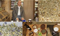 Bağışıklığı Güçlendiren Şifalı Bitkilerle Kışa Hazırlık