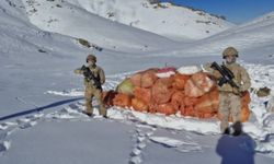 Hakkari ve Ağrı’da Uyuşturucu Operasyonu