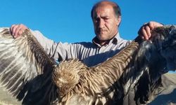 Bitlisli hemşehrimiz Vedat Okdayan vefat etmiştir