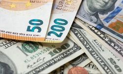 12 Kasım Döviz Kurlarında Son Durum