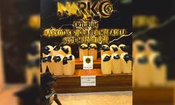 Mersin ve Erzurum’da Uyuşturucu Operasyonu