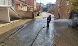 Ahlat’ta Cadde ve Sokaklar Temizlendi