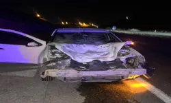 Otomobilin Çarptığı At Telef Oldu