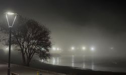 Tatvan’da Yoğun Sis Sürücülere Zorluk Çıkardı