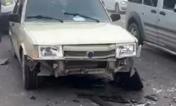 Yoğun sis nedeniyle kaza: 3 koyun telef oldu