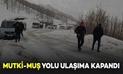 Mutki-Muş Yolu Yoğun Kar Yağışı Nedeniyle Ulaşıma Kapandı