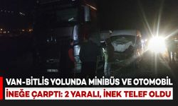 Van-Bitlis Yolunda İneğe Çarpan Minibüs ve Otomobil Kaza Yaptı: 2 Yaralı, İnek Telef Oldu