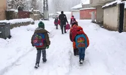 Bitlis Merkez ve Güroymak'ta Kar Yağışı Nedeniyle Taşımalı Eğitime 1 Gün Ara Verildi
