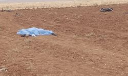 Yarış Motosikleti Tarlaya Savruldu: Sürücü Hayatını Kaybetti