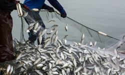 Su Ürünleri Avcılığında Yeni Dönem: Sözleşmeli Üretim Başlıyor