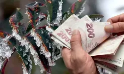 Tarımsal Destek Ödemeleri Bugün Hesaplara Aktarılıyor