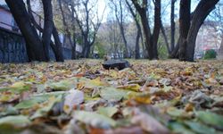 Yurt genelinde bugün yağış beklenmiyor