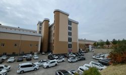 Diyarbakır’da Damat Kayınbaba ve Kayınbiraderini Öldürdü