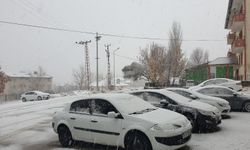 Van'da Kar Yağışı: Beyaza Büründü