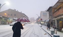 Van'da kar yağışı etkili oldu: Görüş mesafesi düştü, yollar beyaza büründü