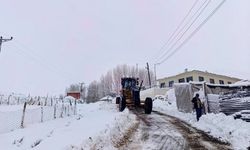 Van’da Kar Yağışı Ulaşımı Felç Etti: 102 Yerleşim Yolu Kapandı