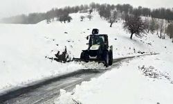 Muş’ta 26 yerleşim yerinin yolu yeniden ulaşıma açıldı