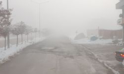 Van'da yoğun sis etkili oldu: görüş mesafesi 5 metreye düştü
