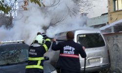 Siirt’te Park Halindeki Kamyonet Alevlere Teslim Oldu