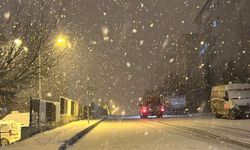 Van'da yoğun kar yağışı kenti beyaza bürüdü