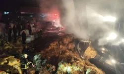 Samanlık yangını paniğe neden oldu