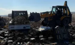 Zabıta Denetiminde 8 Bin Şişe Bozuk Meşrubat Ele Geçirildi