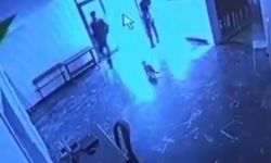 Salon Görevlisi Kediye Tekme Attı: O Anlar Kamerada