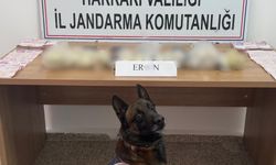 Hakkari’de 5 Kilo 815 Gram Eroin Ele Geçirildi: 2 Tutuklama