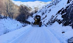 Van-Bahçesaray yolu kar ve tipi nedeniyle kapatıldı